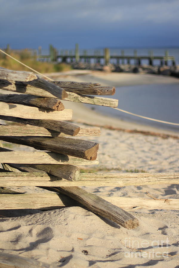 Split Rail Fence Yorktown Beach Photograph by Karen Jorstad