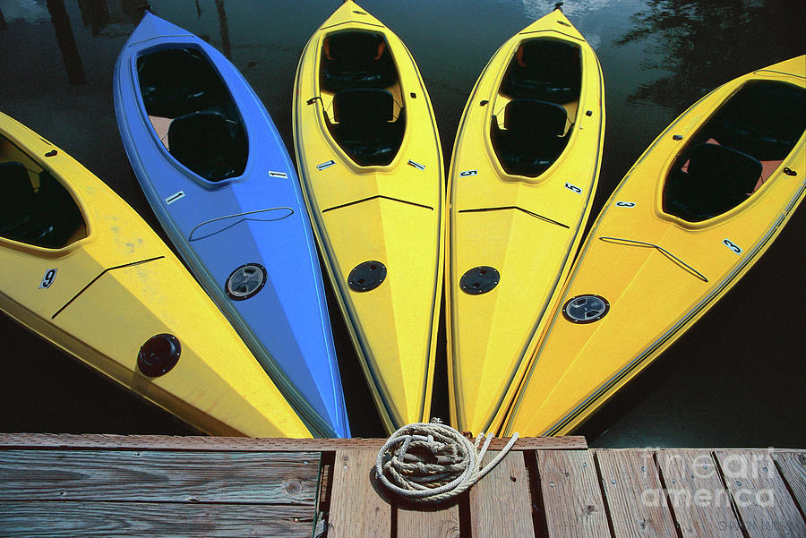 kayaks photographs - Yellow Kayaks Photograph by Sharon Hudson