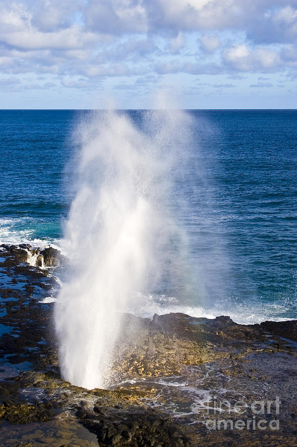 Spouting Horn Photograph by Greg Clure - Fine Art America