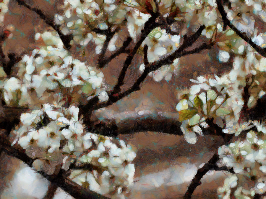 Spring Blossoms #1 Painting by Ann Powell