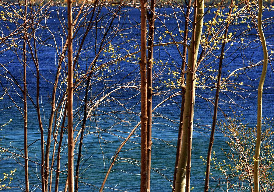 Spring By The Lake 2  #1 Photograph by Lyle Crump