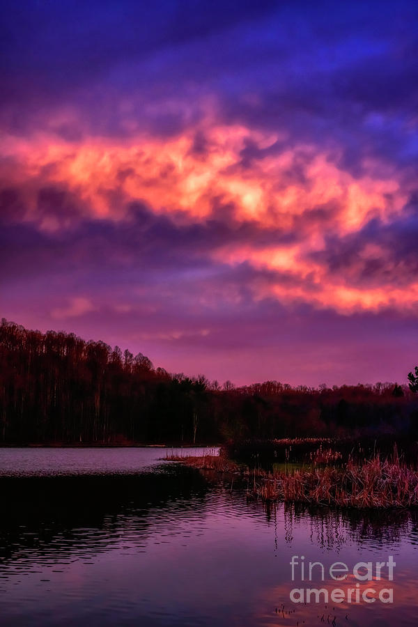 Spring Dawn at the Lake #1 Photograph by Thomas R Fletcher
