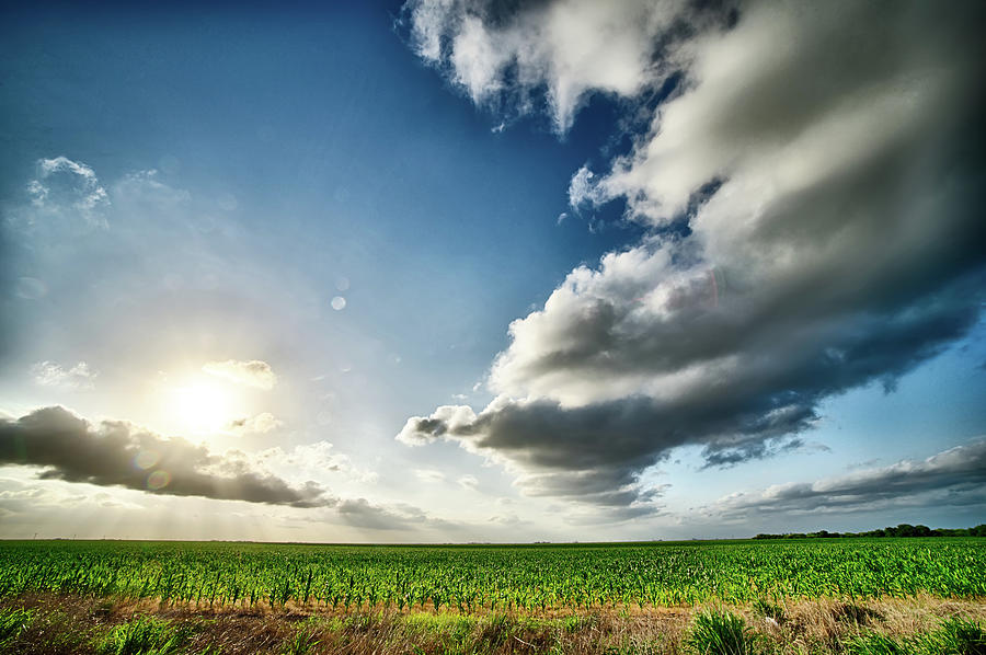 Spring Farm Fields With Sunset And Clouds In Texas #1 Photograph by Alex Grichenko