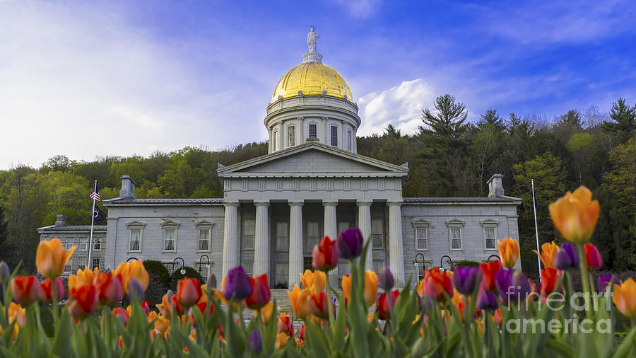 Spring flowers at the Statehouse #2 Photograph by Scenic Vermont Photography