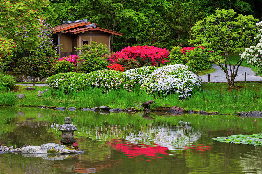 Spring Glories In Seattle Japanese Garden #1 Digital Art by Michael Lee