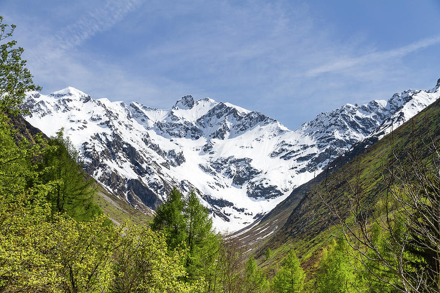 Spring in French Alps Photograph by Paul MAURICE