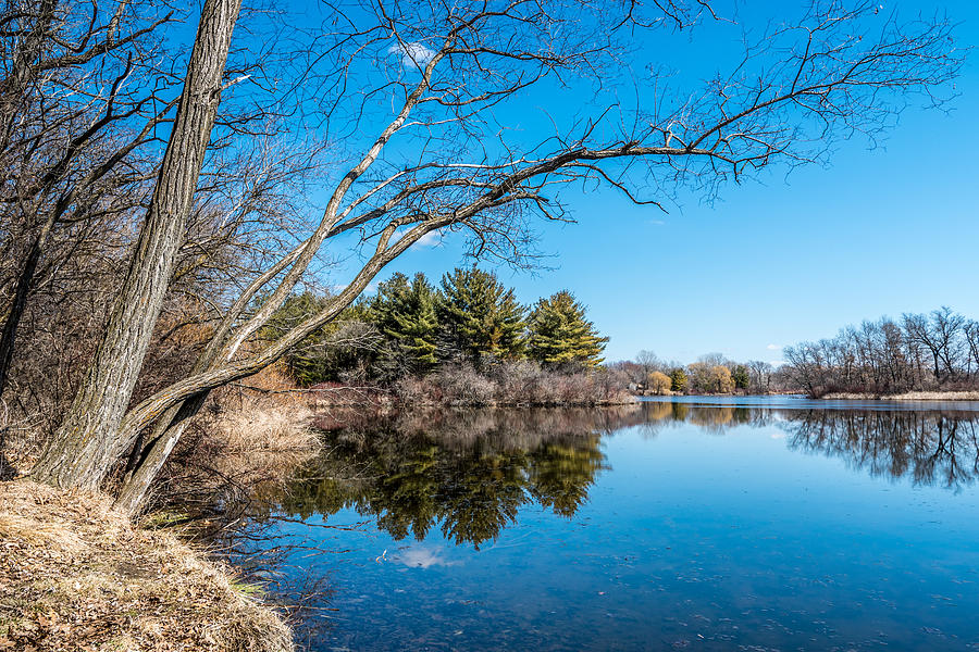 Spring Lake #1 Photograph by Randy Scherkenbach