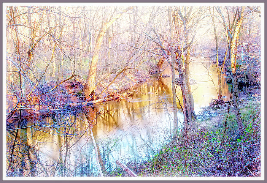 Spring, Pennypack Creek, Montgomery County, Pennsylvania #1 Digital Art by A Macarthur Gurmankin