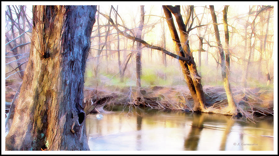 Spring, Pennypack Creek, Pennsylvania #1 Photograph by A Macarthur Gurmankin