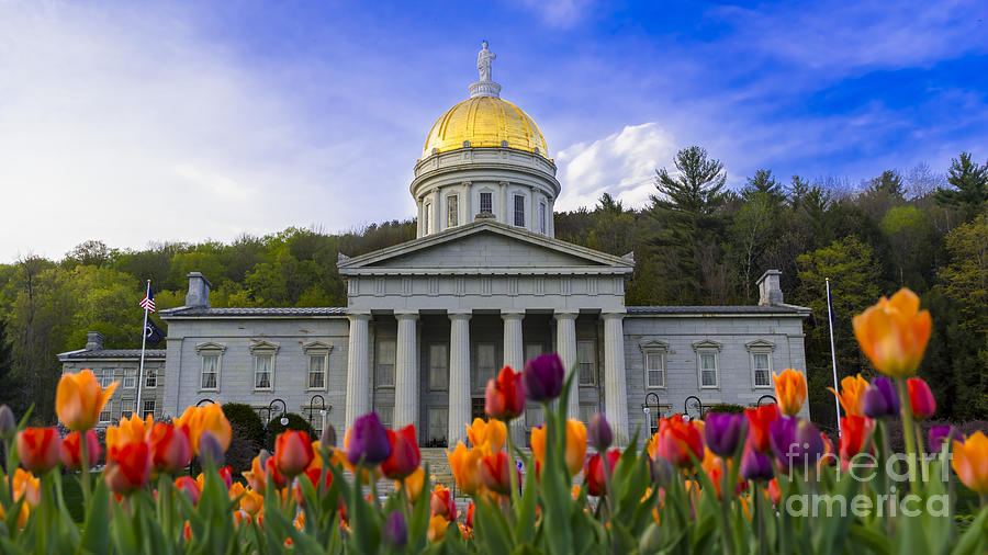 Spring time at the Vermont Statehouse. #1 Photograph by New England Photography