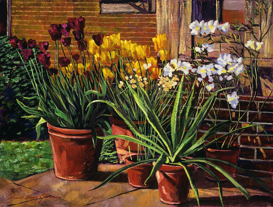 Garden Painting - Spring Tulips And White Azaleas #1 by David Lloyd Glover