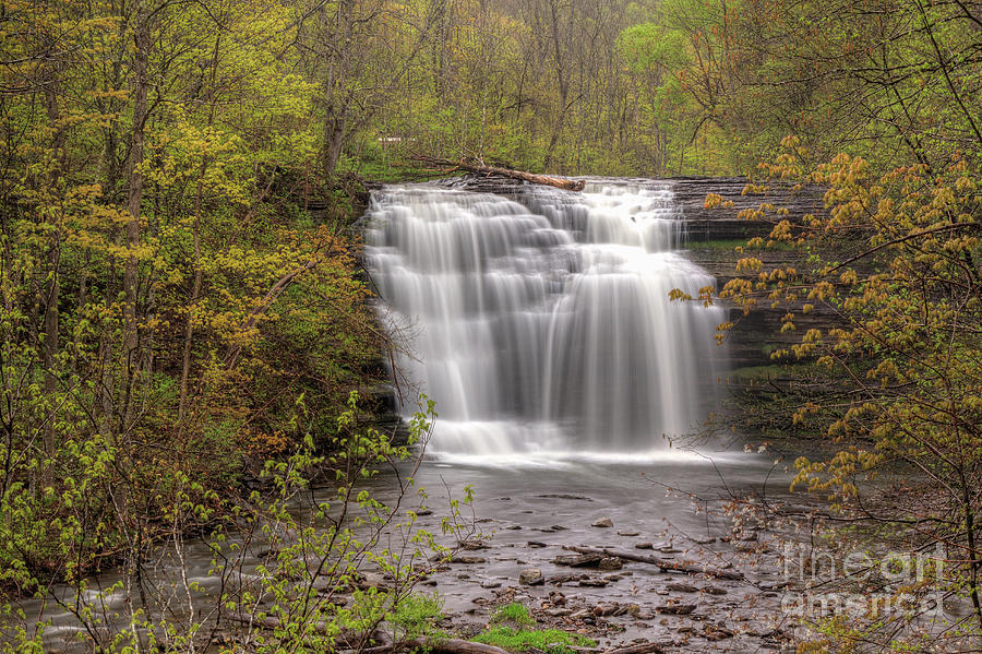 Spring Waterfalls #1  by Rod Best