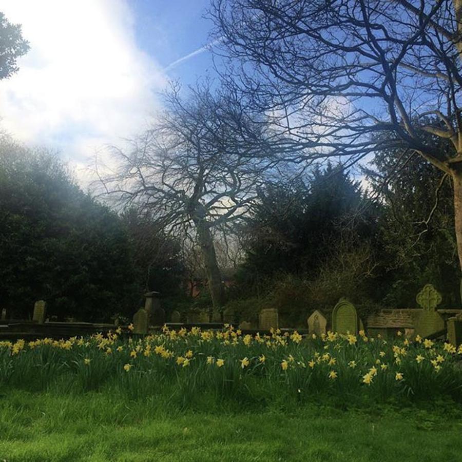 Spring Photograph - #springday #spring #morning #church #1 by Louise Fairclough