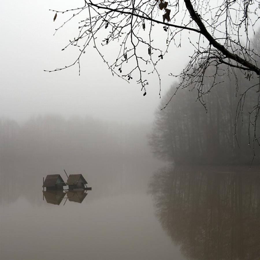 Spring Photograph - #spring,#mist,#river,#morning #1 by Andrey Suchkov