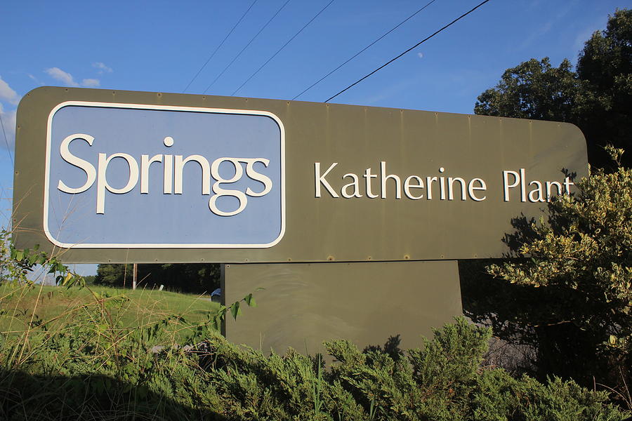 Springs Katherine Plant #1 Photograph by Joseph C Hinson