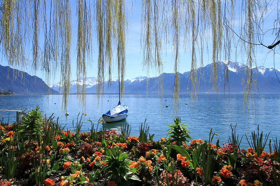 Springtime at Geneva lake, Montreux, Switzerland #1 Photograph by Elenarts - Elena Duvernay photo