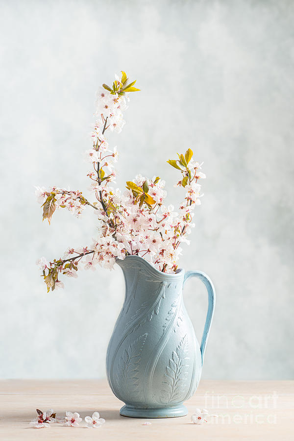 Spring Photograph - Springtime Blossom #1 by Amanda Elwell