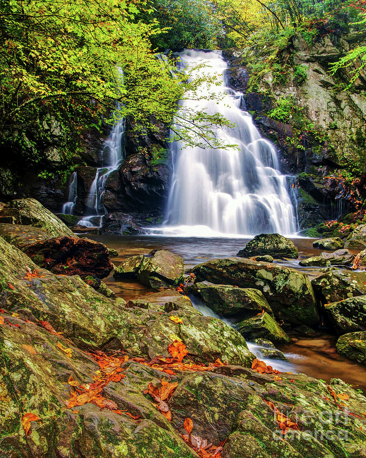 Spruce Flat Falls Photograph by Larry Knupp - Fine Art America