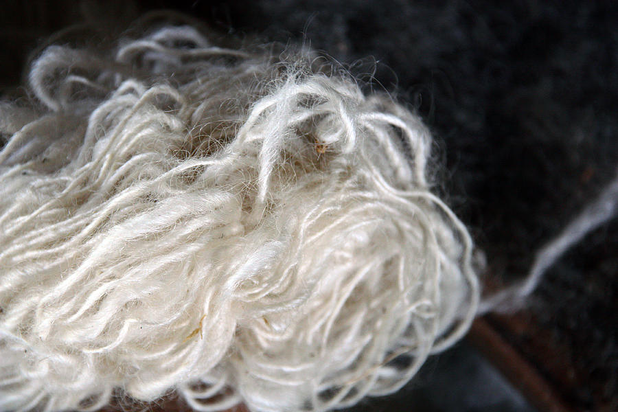 Spun Wool #1 Photograph by Joanne Coyle