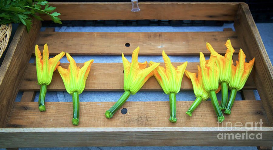 Squash Blossoms #1 Photograph by Bruce Block
