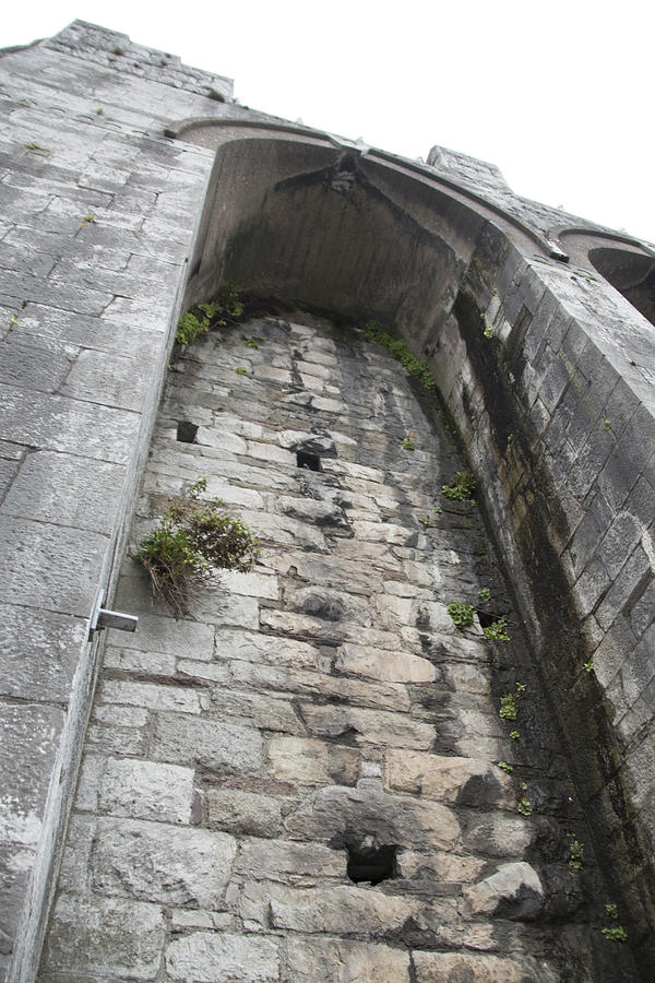 St Colmans Cathedral Ireland #1 Photograph by Susan Jensen