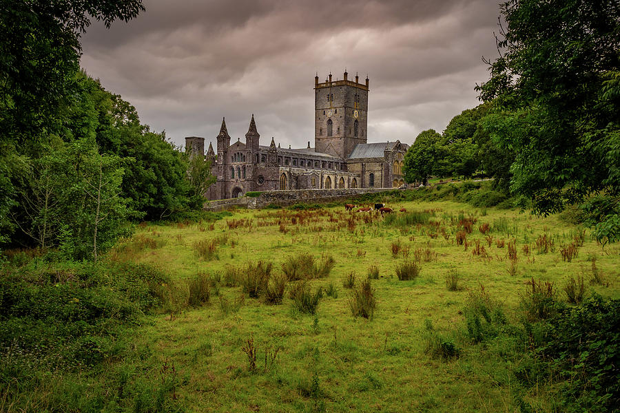 St Davids Cathedral #1 Photograph by Mark Llewellyn