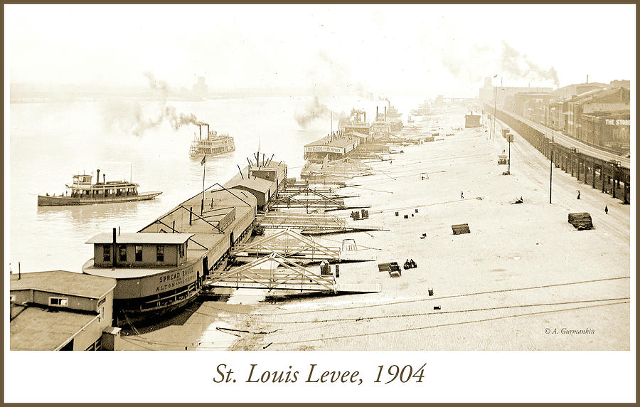St. Louis Levee, 1904 #1 Photograph by A Macarthur Gurmankin