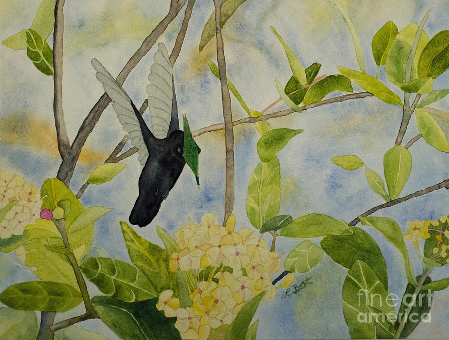 St. Lucian Hummingbird #1 Painting by Laurel Best