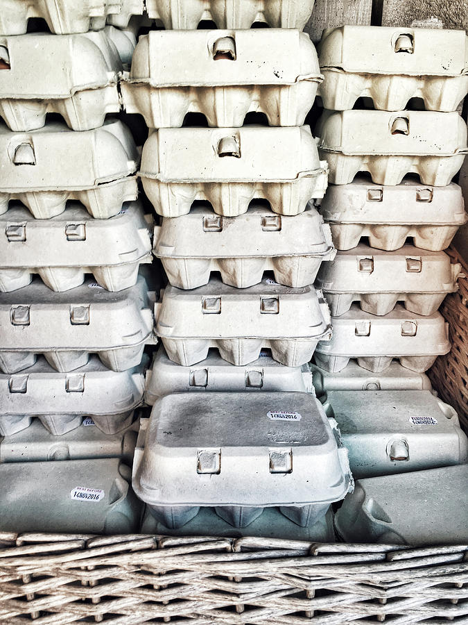 Stacked egg boxes #1 Photograph by Tom Gowanlock