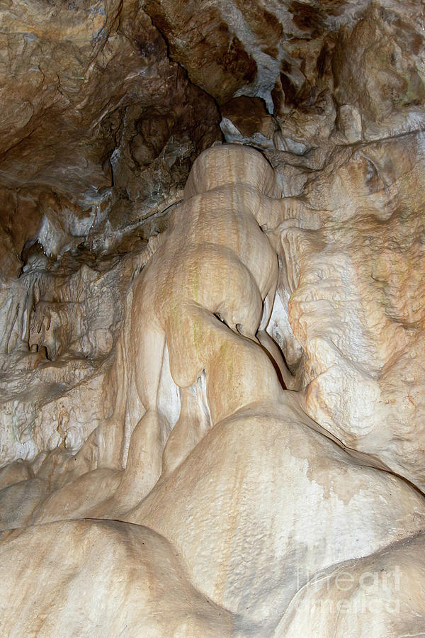 Stalactite formation in karst cave #1 Photograph by Michal Boubin