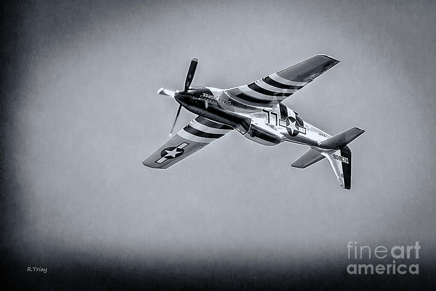 Stallion 51 - P-51D Mustang - Crazy Horse 2 #2 Photograph by Rene Triay FineArt Photos