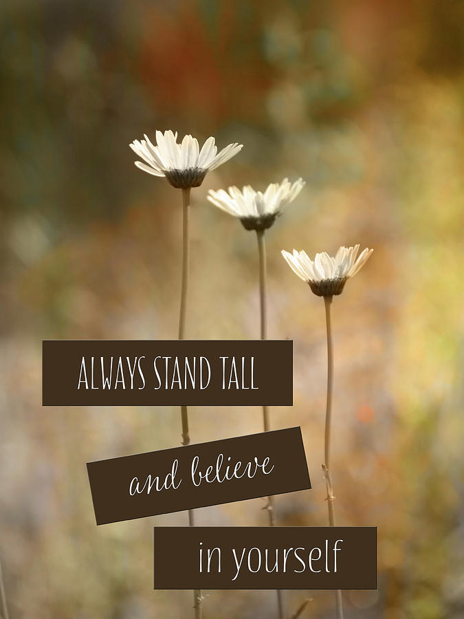 Stand Tall #1 Photograph by Lori Deiter