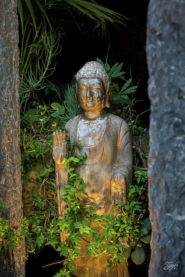 Standing Buddha 4 Photograph by Endre Balogh