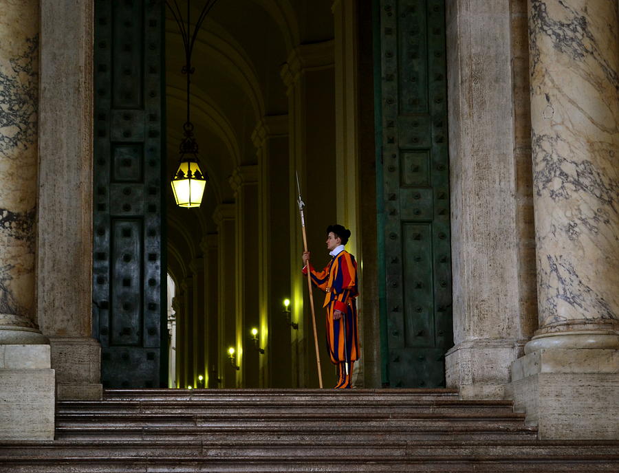 Standing Guard Photograph by Devon McTavish | Fine Art America