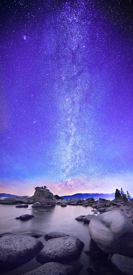 Star Gazer  #1 Photograph by Brad Scott