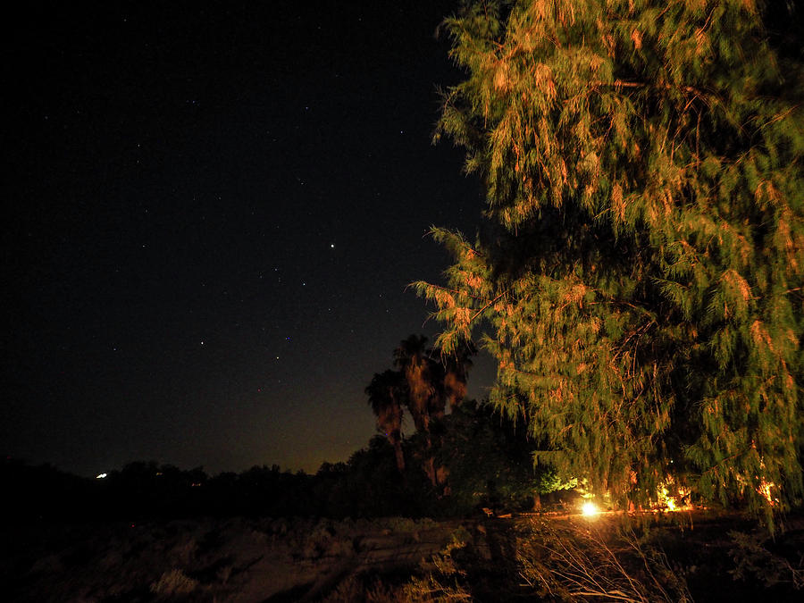 Starry Night in Paradise... #1 Photograph by Rebecca Dru