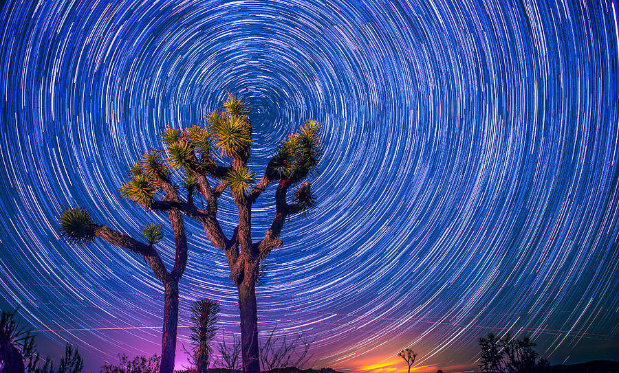 Stars Over Joshua Tree Photograph By Ryan Mckee Fine Art America