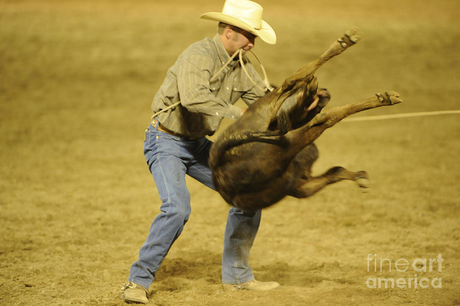 Steer Wrestling #1 Photograph by Dennis Hammer