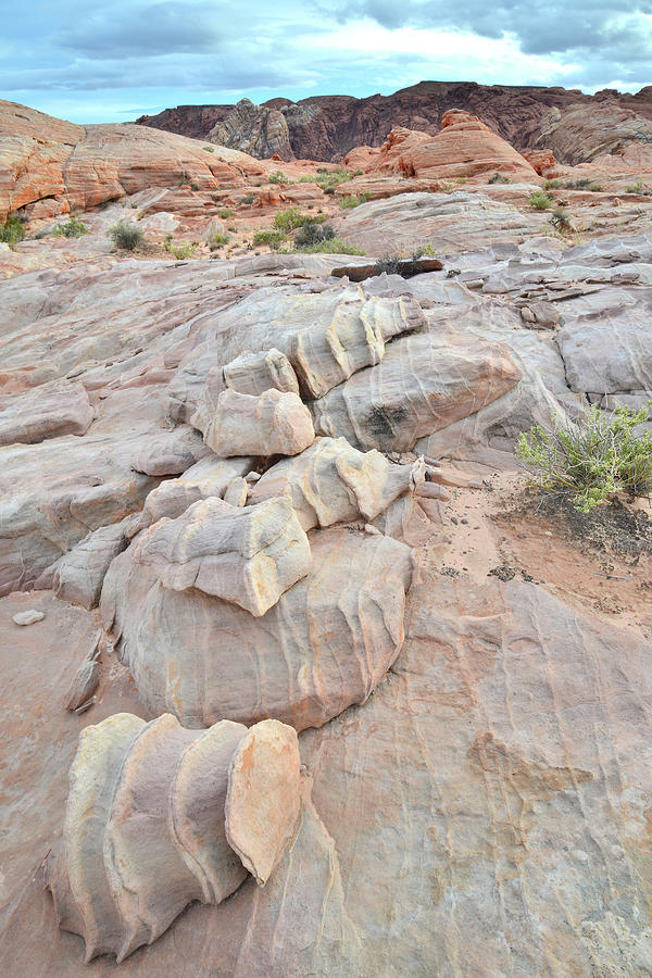 Stepping Stones in Valley of Fire #2 Photograph by Ray Mathis