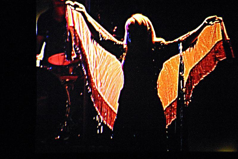 Stevie Nicks Photograph - Stevie Nicks #1 by Laurie Prentice