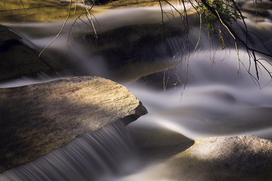 Stickney Brook III #1 Photograph by Tom Singleton