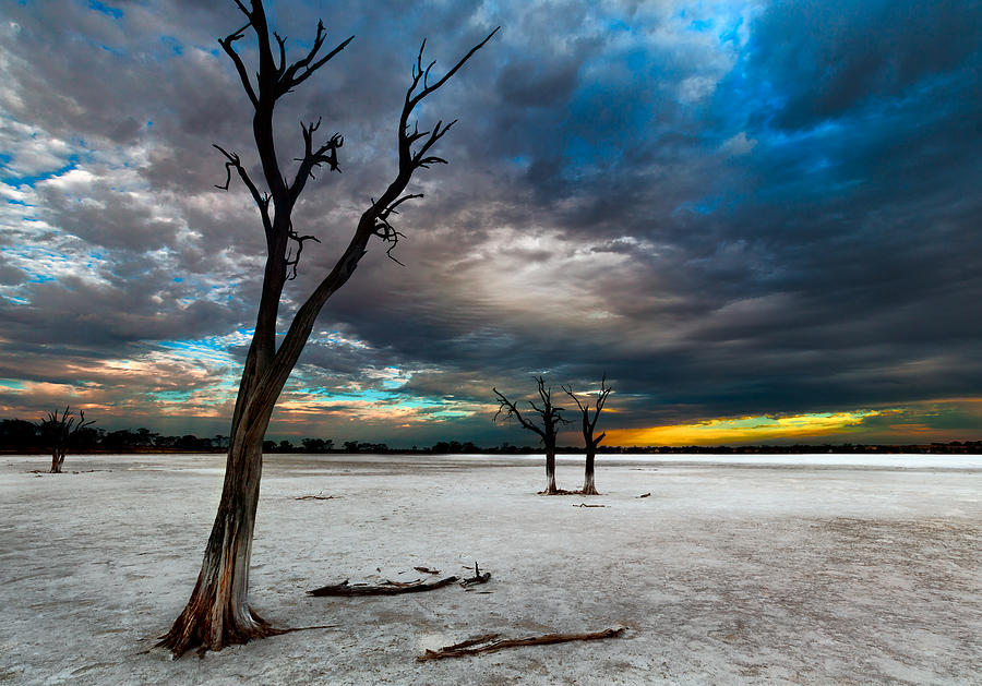 Still Here by Julian Cook Still Here by Julian Cook