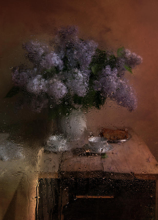 Still life with fresh lilacs #1 Photograph by Jaroslaw Blaminsky