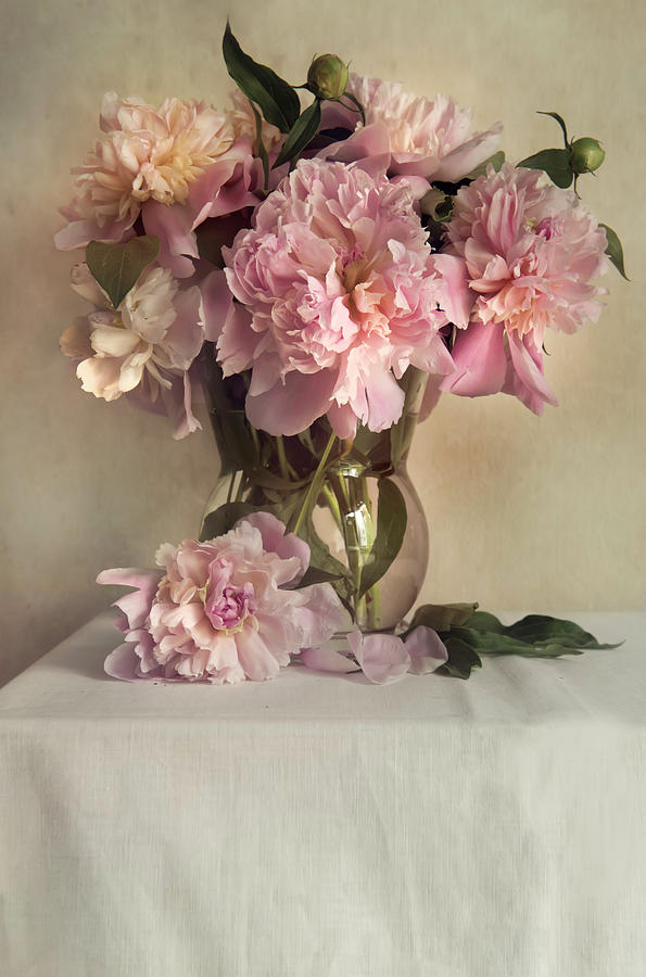 Still life with pink peonies #1 Photograph by Jaroslaw Blaminsky