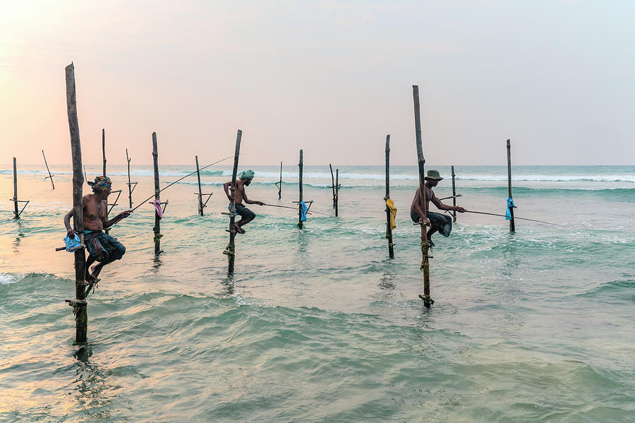 Stilt Fishermen - Sri Lanka #1 Photograph by Joana Kruse