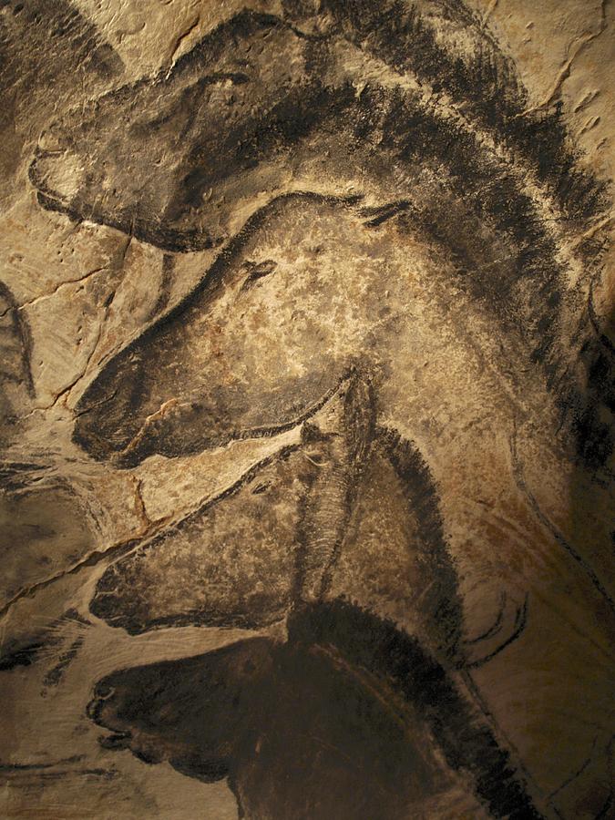 Animal Photograph - Stone-age Cave Paintings, Chauvet, France by Javier Truebamsf