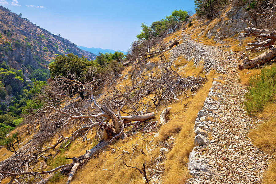 Stone desert trail near Pustinja Blaca hermitage on Brac island #1 Photograph by Brch Photography