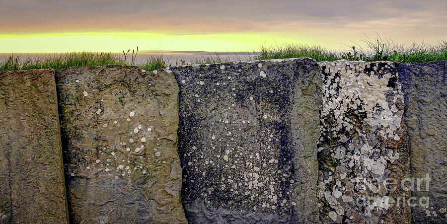 Stone Fence Cliffs of Moher Ireland #1 Photograph by Lexa Harpell