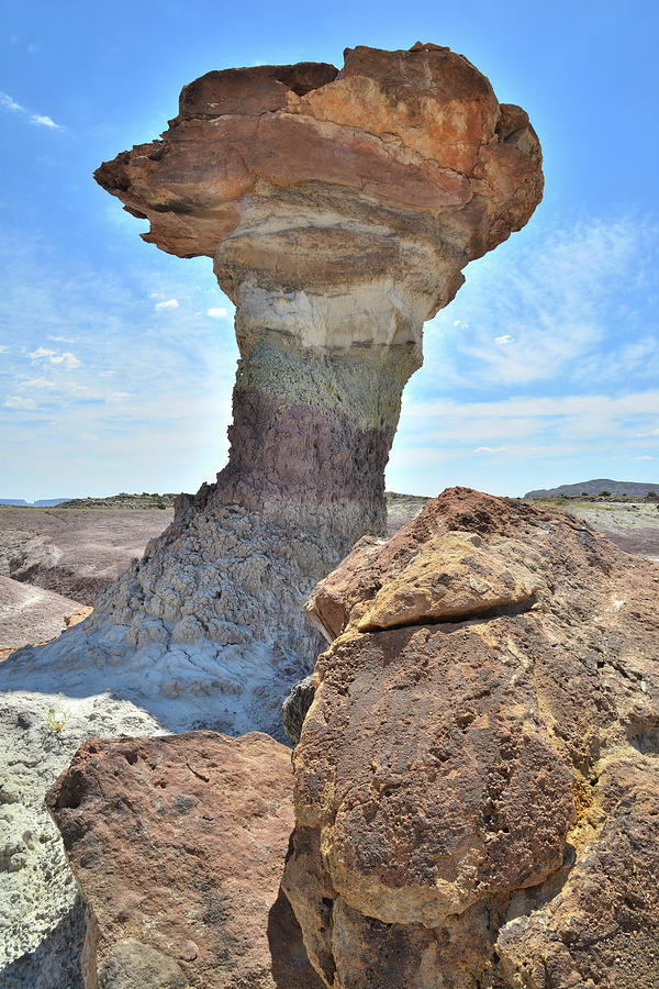 Stone Pillar in Capitol Reef Desert #1 Photograph by Ray Mathis