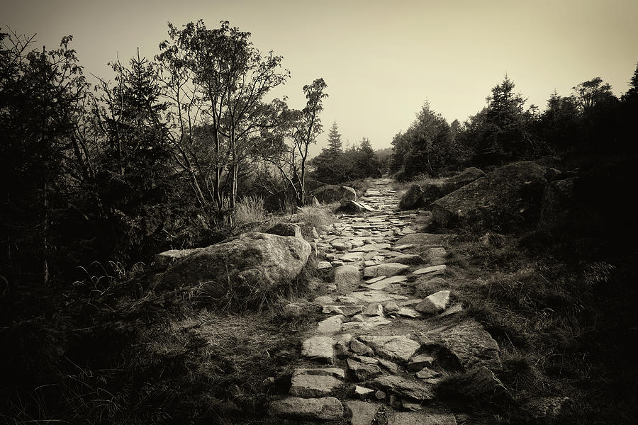 Stone Trail In The Mountains #1 Photograph by Artur Bogacki